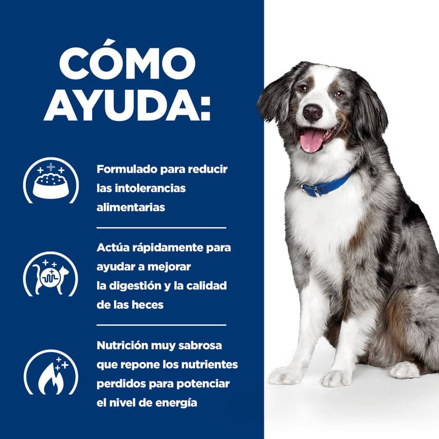 12 kg Hill's Prescription Diet Digestive Care i/d pienso para perros, , large Imagen numero 4